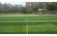 FS Turf, Churchgate - Membership